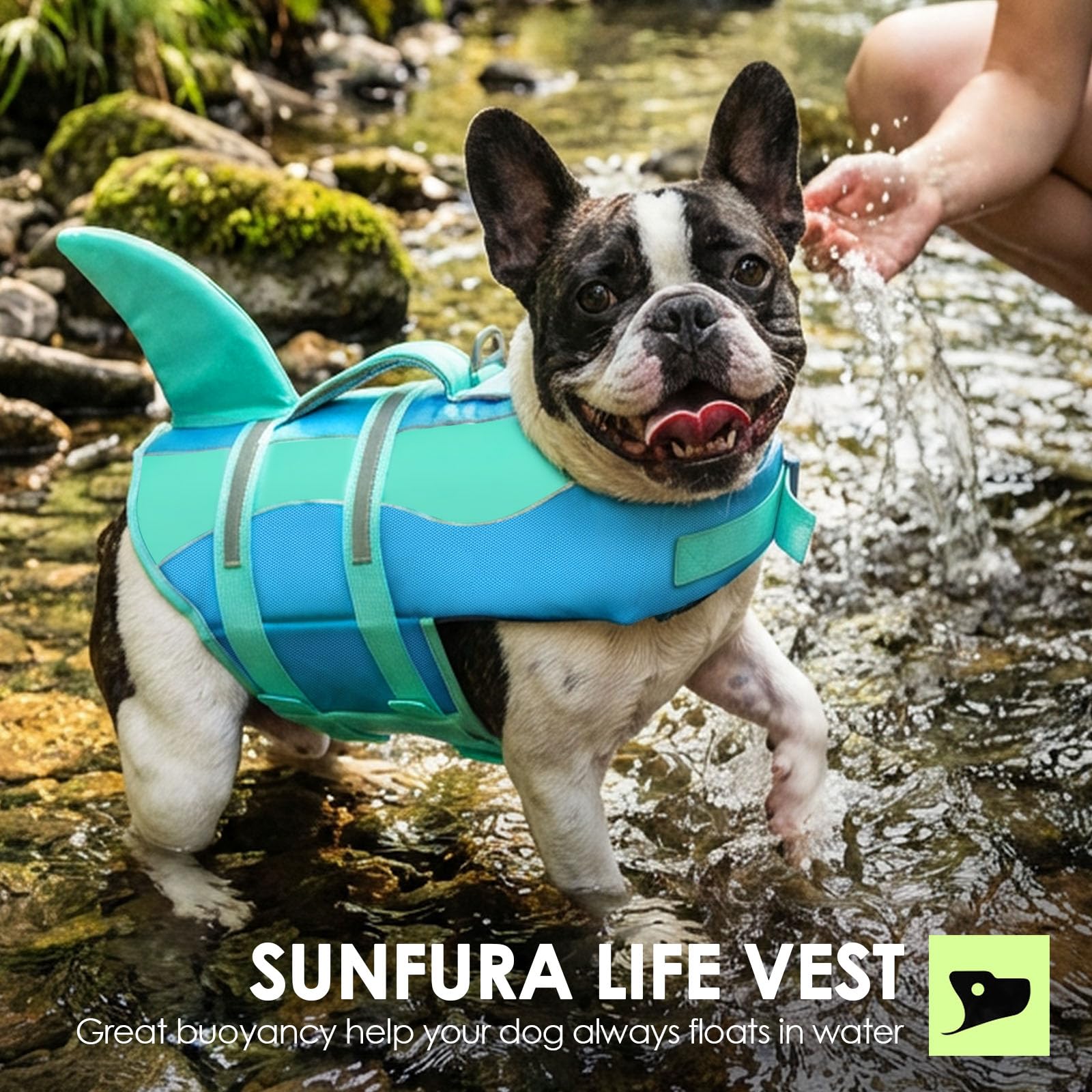 SUNFURA gilet sauvetage chien-taille-s, adapté aux petits chiens pour natation.