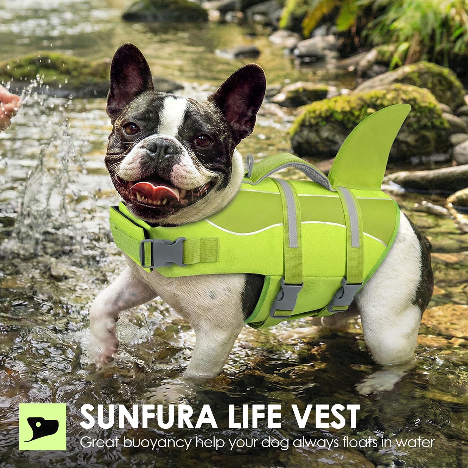 SUNFURA gilet sauvetage chien en usage plage et bateau