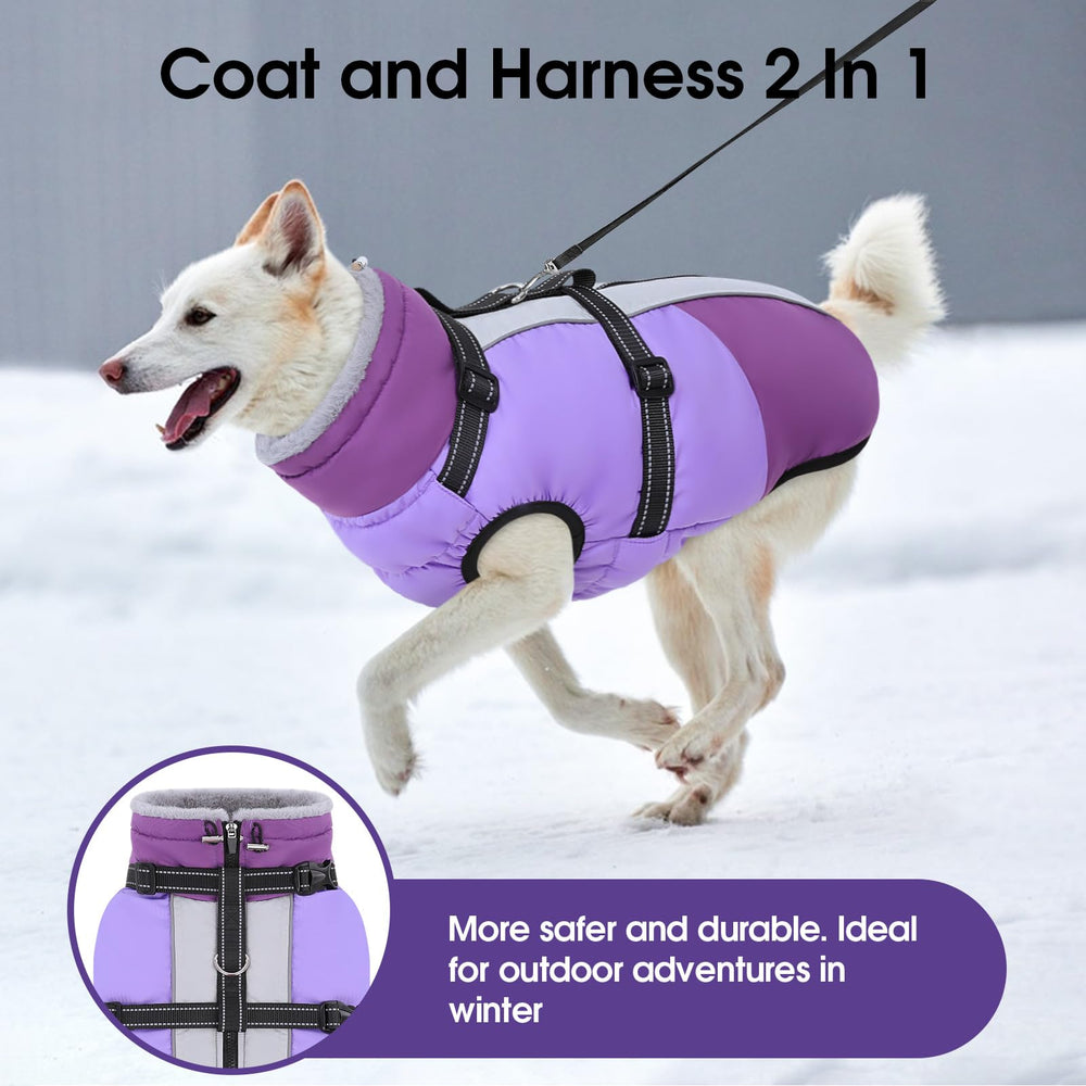 SUNFURA manteau chien avec fermeture éclair pratique, facile à enfiler et à retirer.