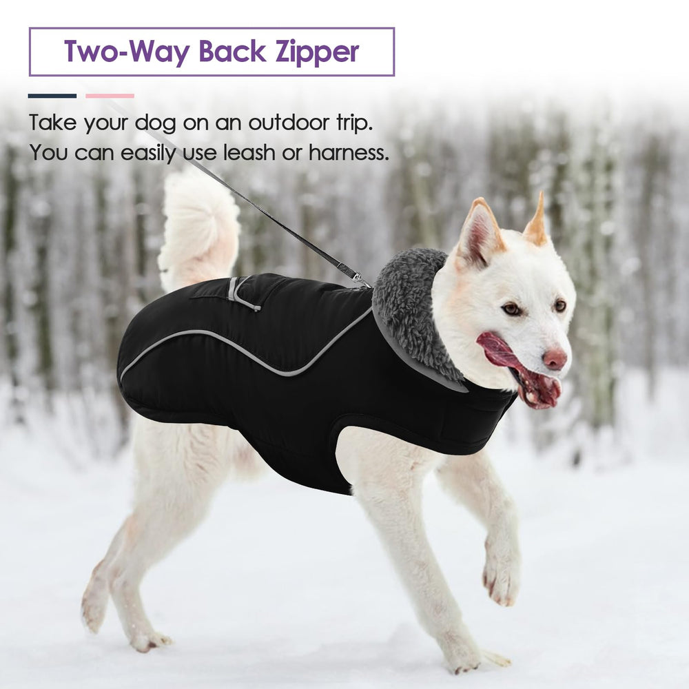 SUNFURA manteau chien grand hiver, usage extérieur idéal pour promenades.