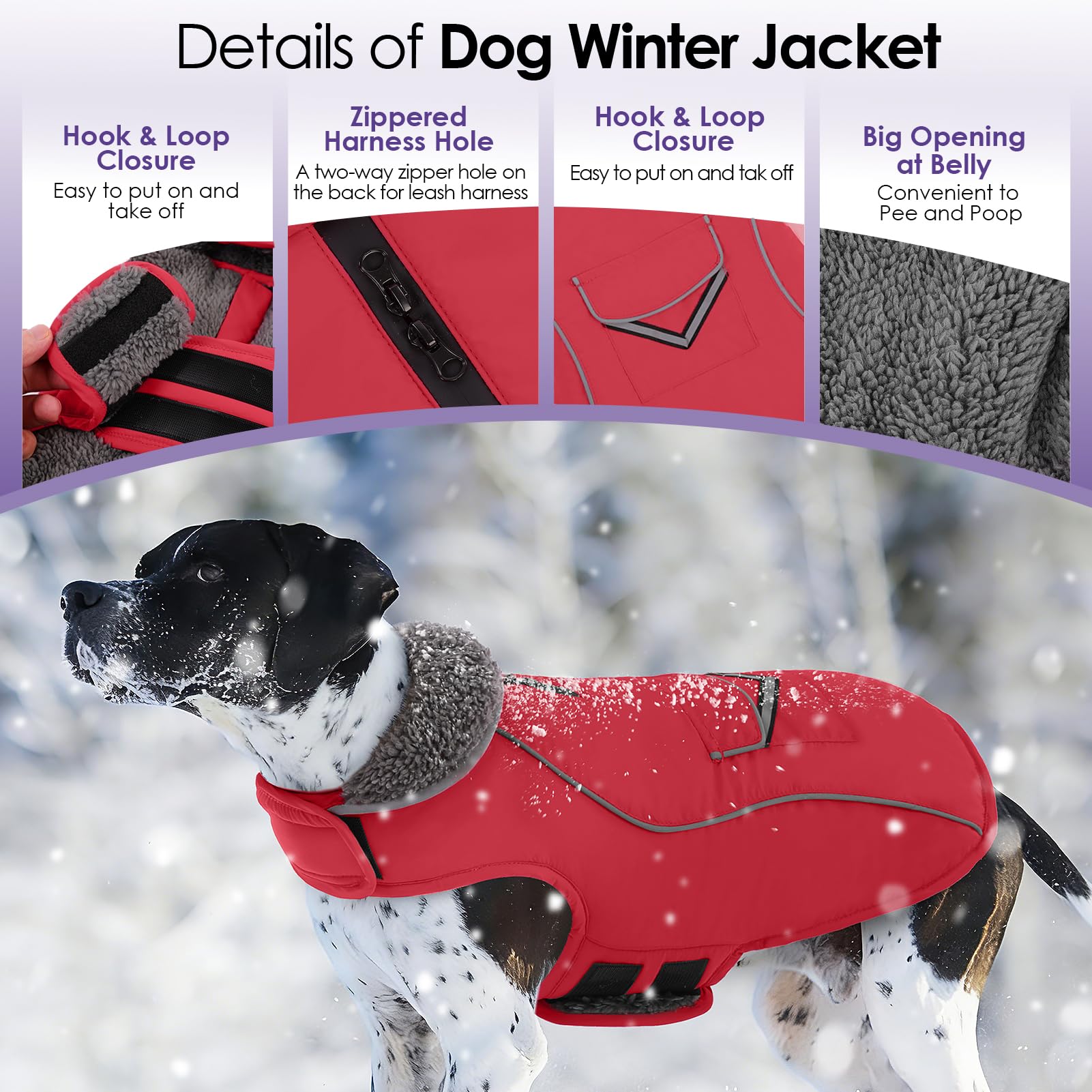 SUNFURA manteau chien grand réfléchissant dos, meilleure visibilité nocturne.