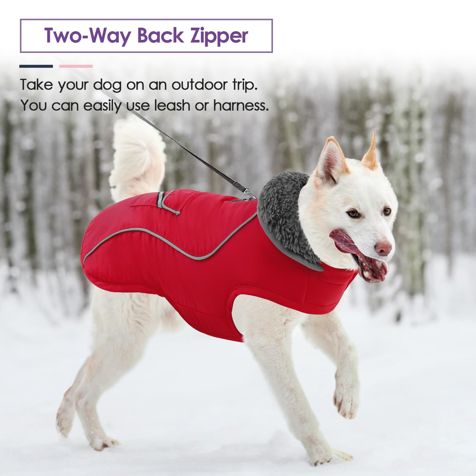 SUNFURA manteau chien grand tissu imperméable au vent, protection contre le froid.