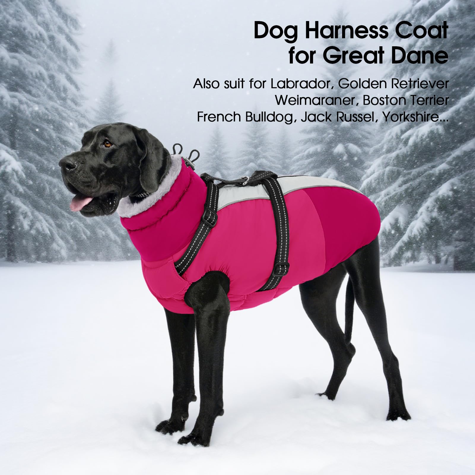SUNFURA manteau chien grand usage hivernal en extérieur pour tous types de chien.