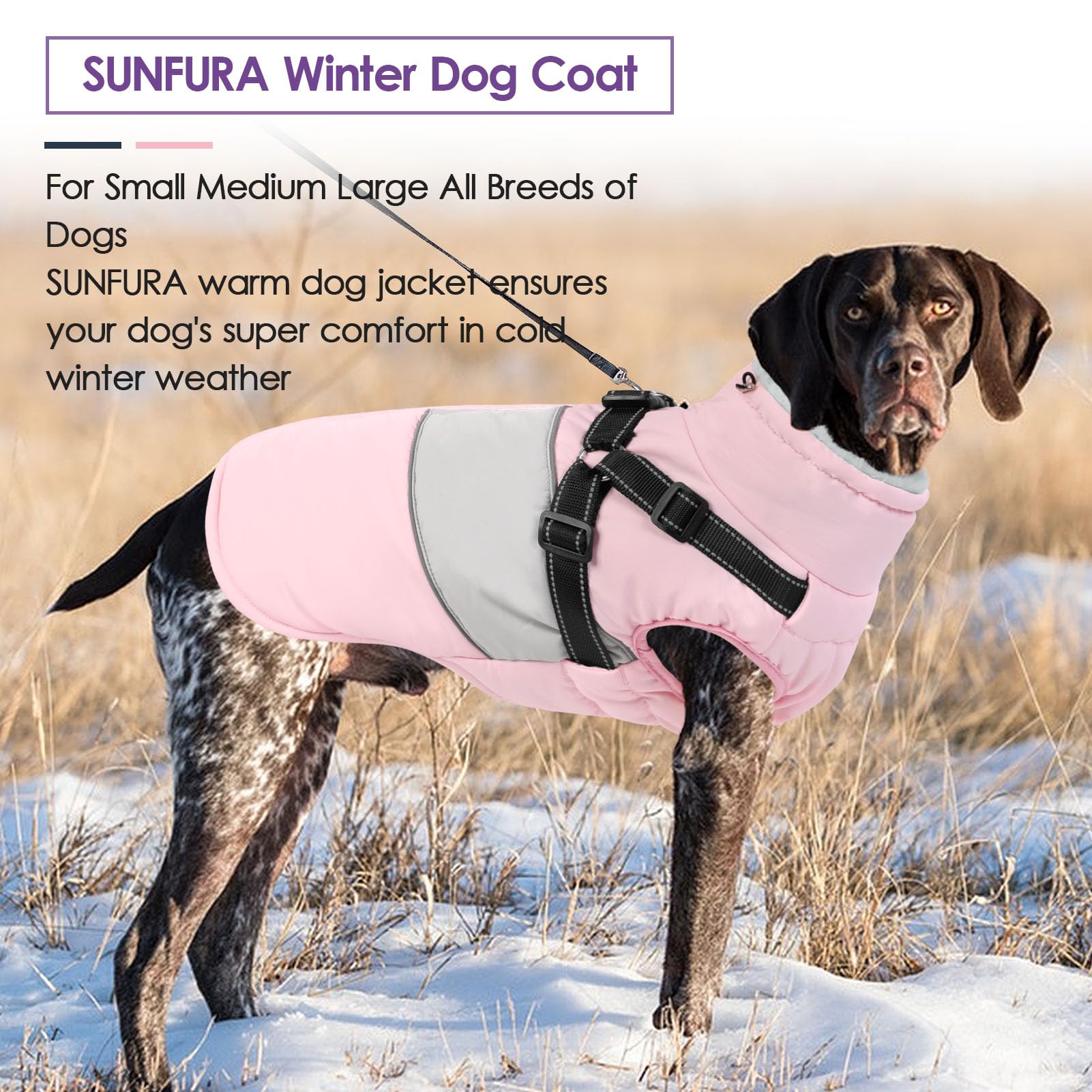SUNFURA manteau chien hiver grand taille, convient a grandes races et harnais.