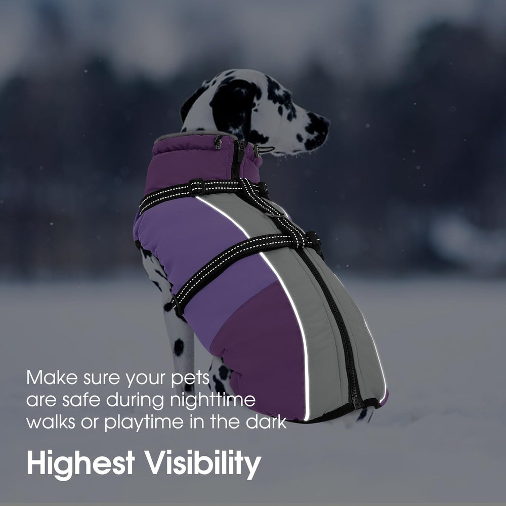 SUNFURA manteau chien ouverture abdomen haute, confort et aisance pour les pauses.