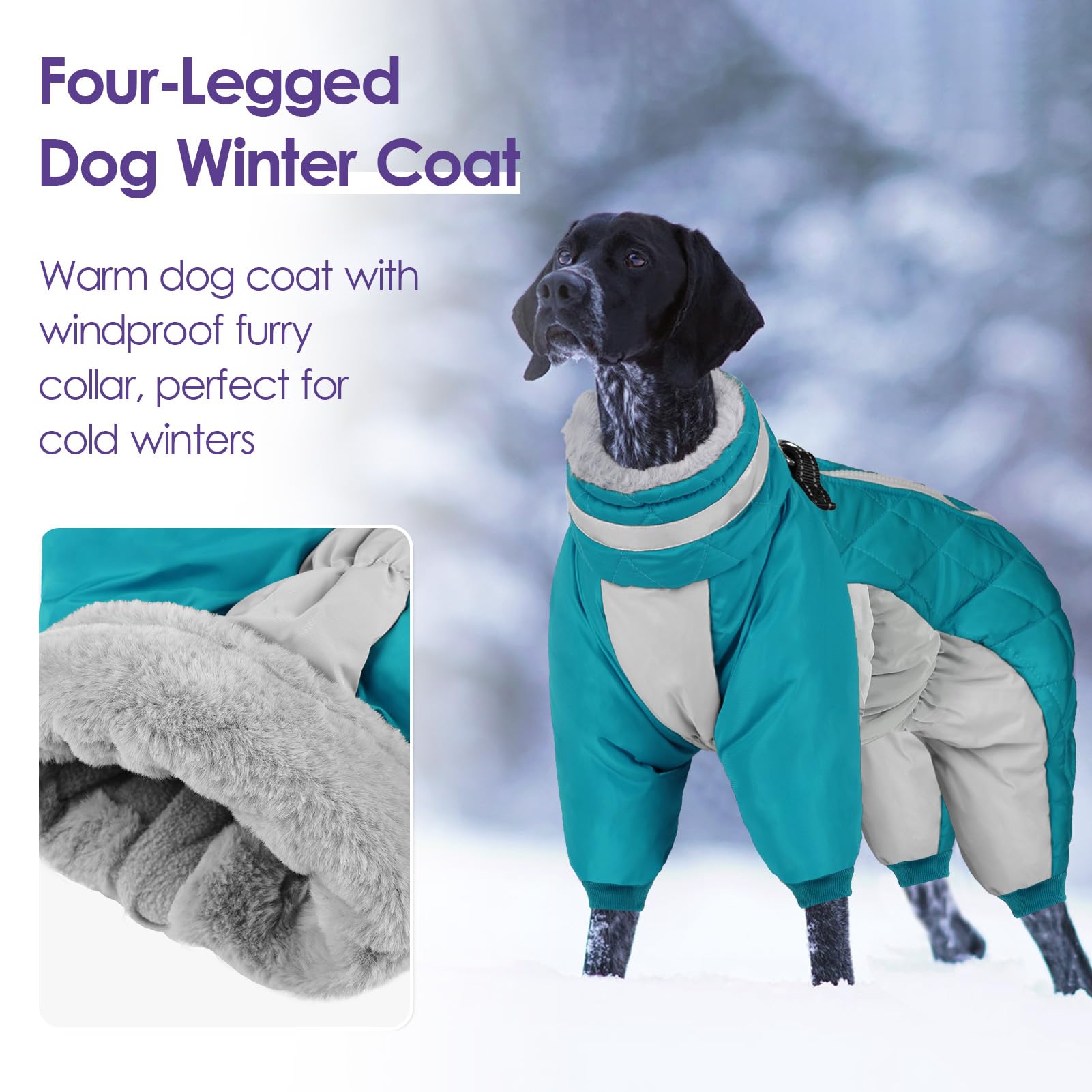 SUNFURA manteau chien résistant à l’eau pour temps froid et neige légère.