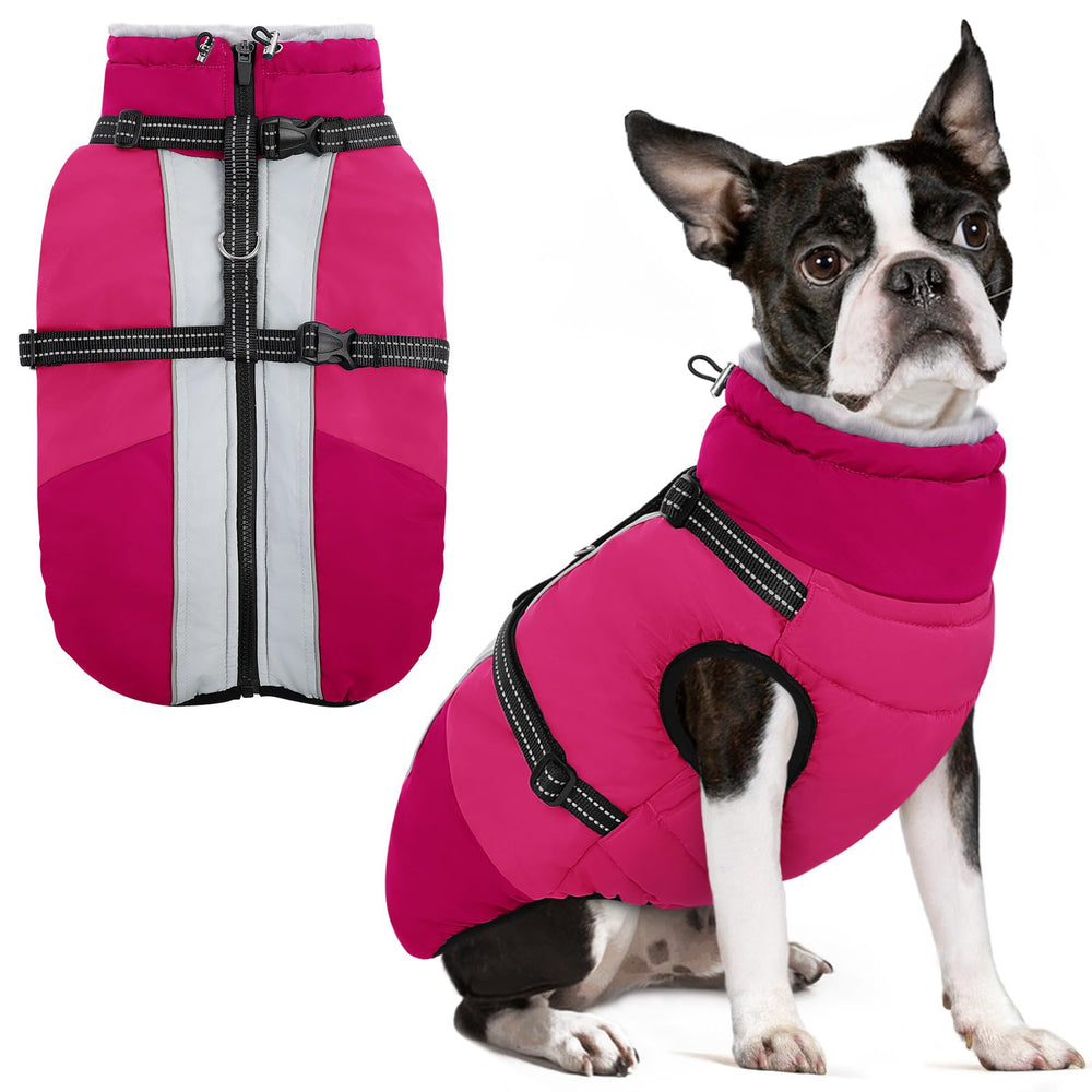 SUNFURA manteau pour chien petit avec harnais intégré pour balades sécurisées.