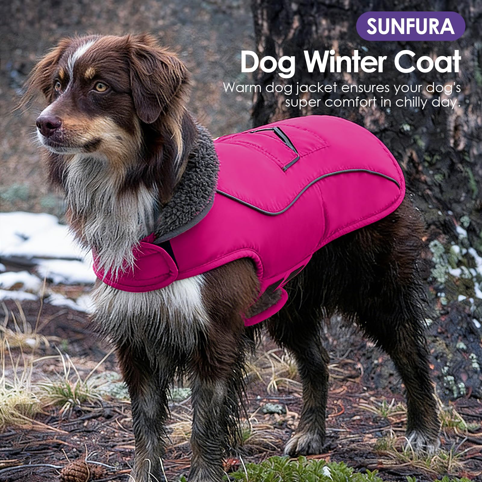 SUNFURA manteau chien poche pratique pour friandises