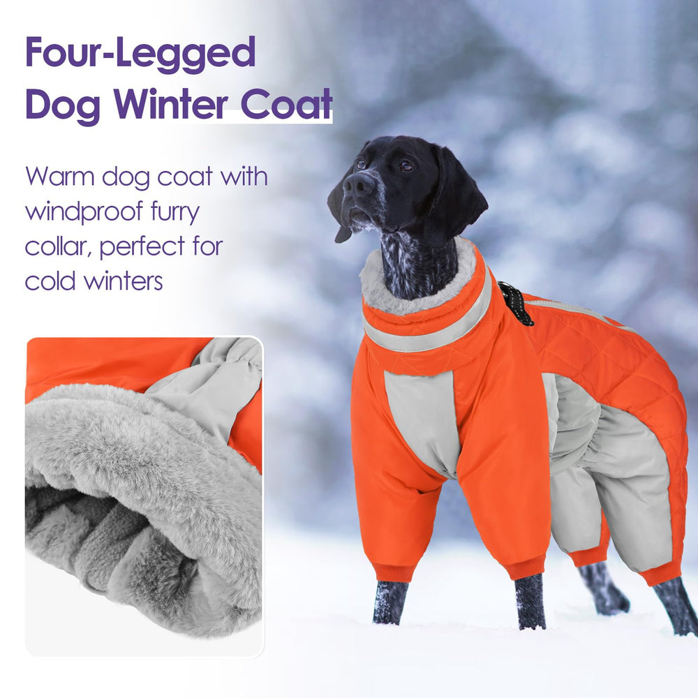 SUNFURA manteau chien réflectif au cou – meilleure visibilité nocturne.