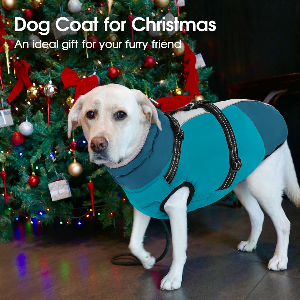 SUNFURA manteau chien réfléchissant turquoise, visibilité accrue sous les phares.