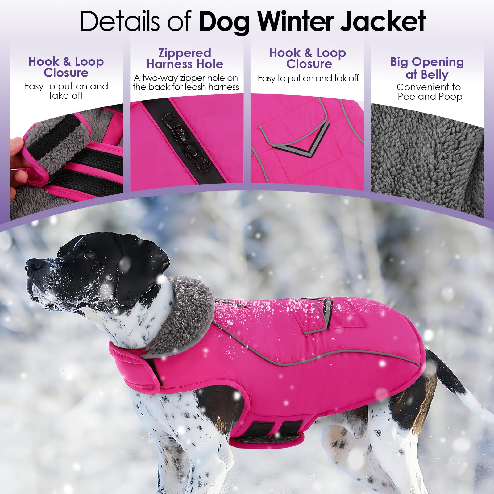 SUNFURA manteau chien réflecteurs haute visibilité pour promenades nocturnes