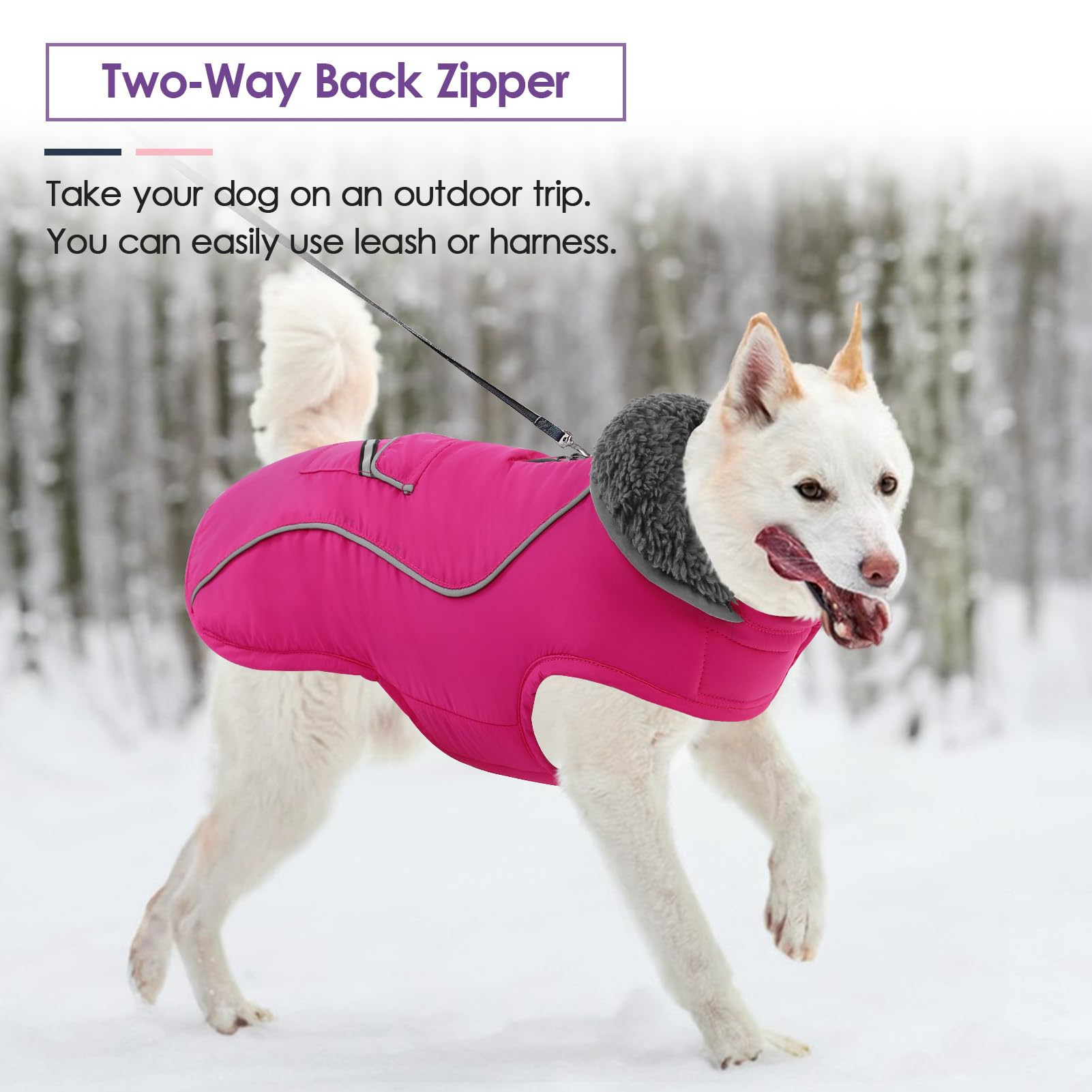 SUNFURA manteau chien sortie hivernale idéal pour balades quotidiennes