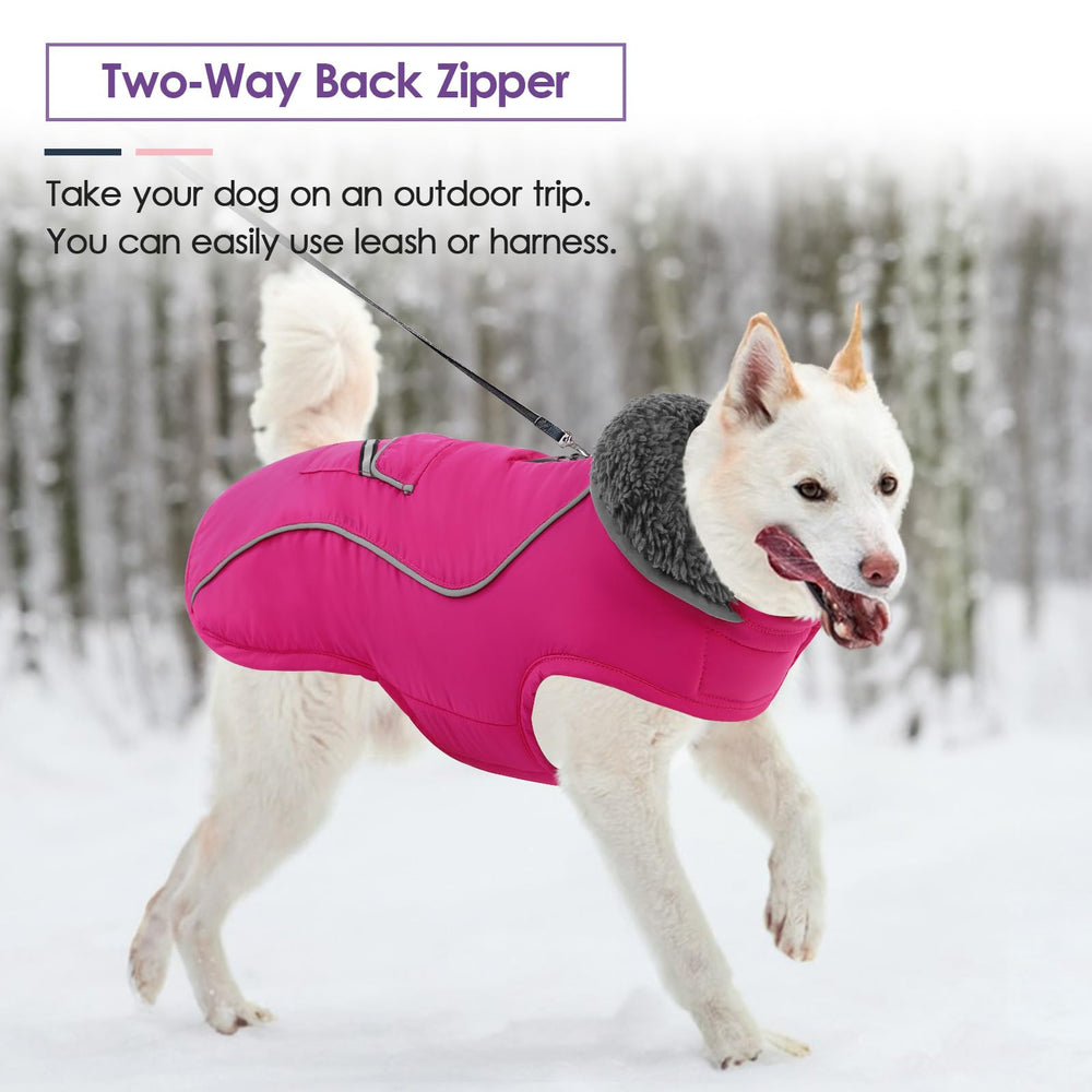 SUNFURA manteau chien sortie hivernale idéal pour balades quotidiennes
