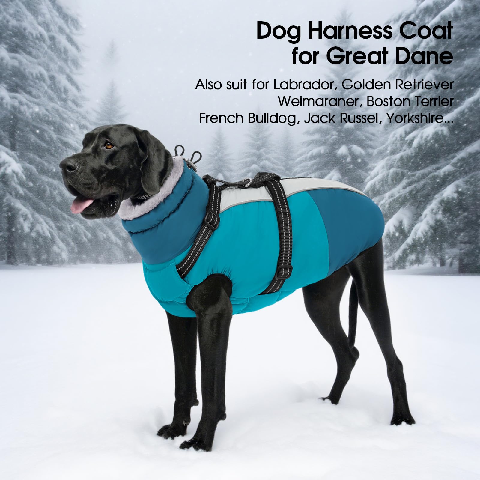 SUNFURA manteau hiver exterieur confortable et durable pour chiens