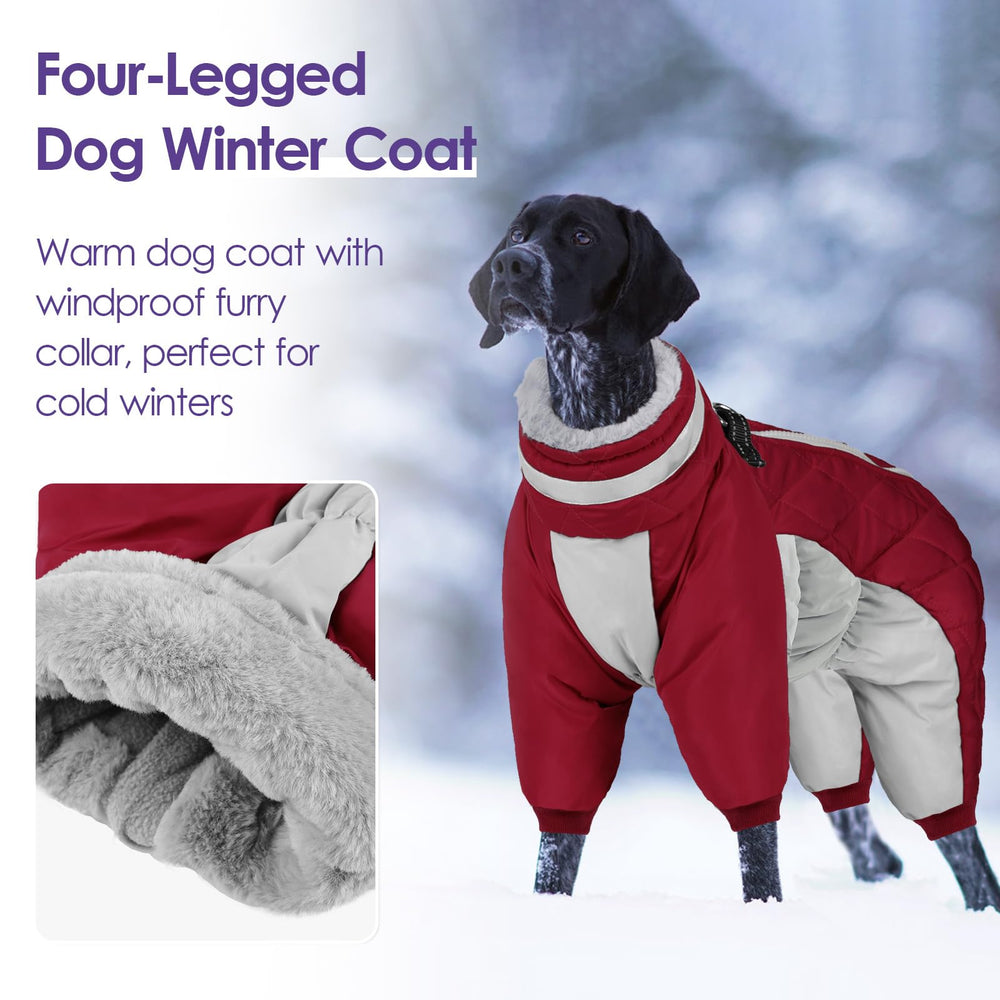 SUNFURA manteau chien ventre elastique et manches ajustables pour maintien sûr.