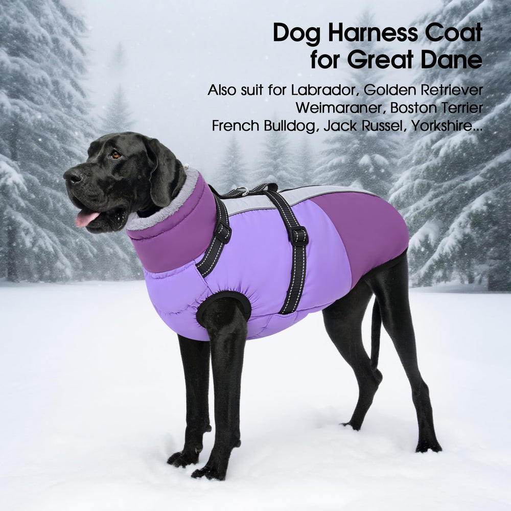SUNFURA manteau violet xxxl, adapté pour les grandes races et les sorties actives.