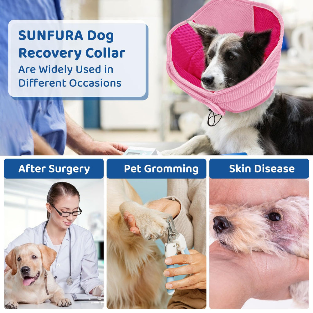 SUNFURA collier de recuperation quotidien pour chien rose, adapté à plusieurs races