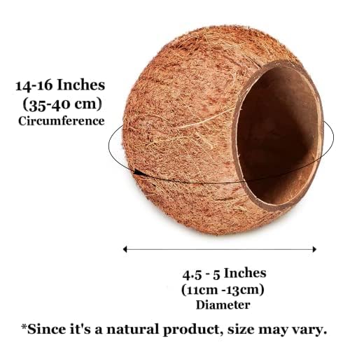 SunGrow accessoire refuge coque noix: style naturel et polyvalence.