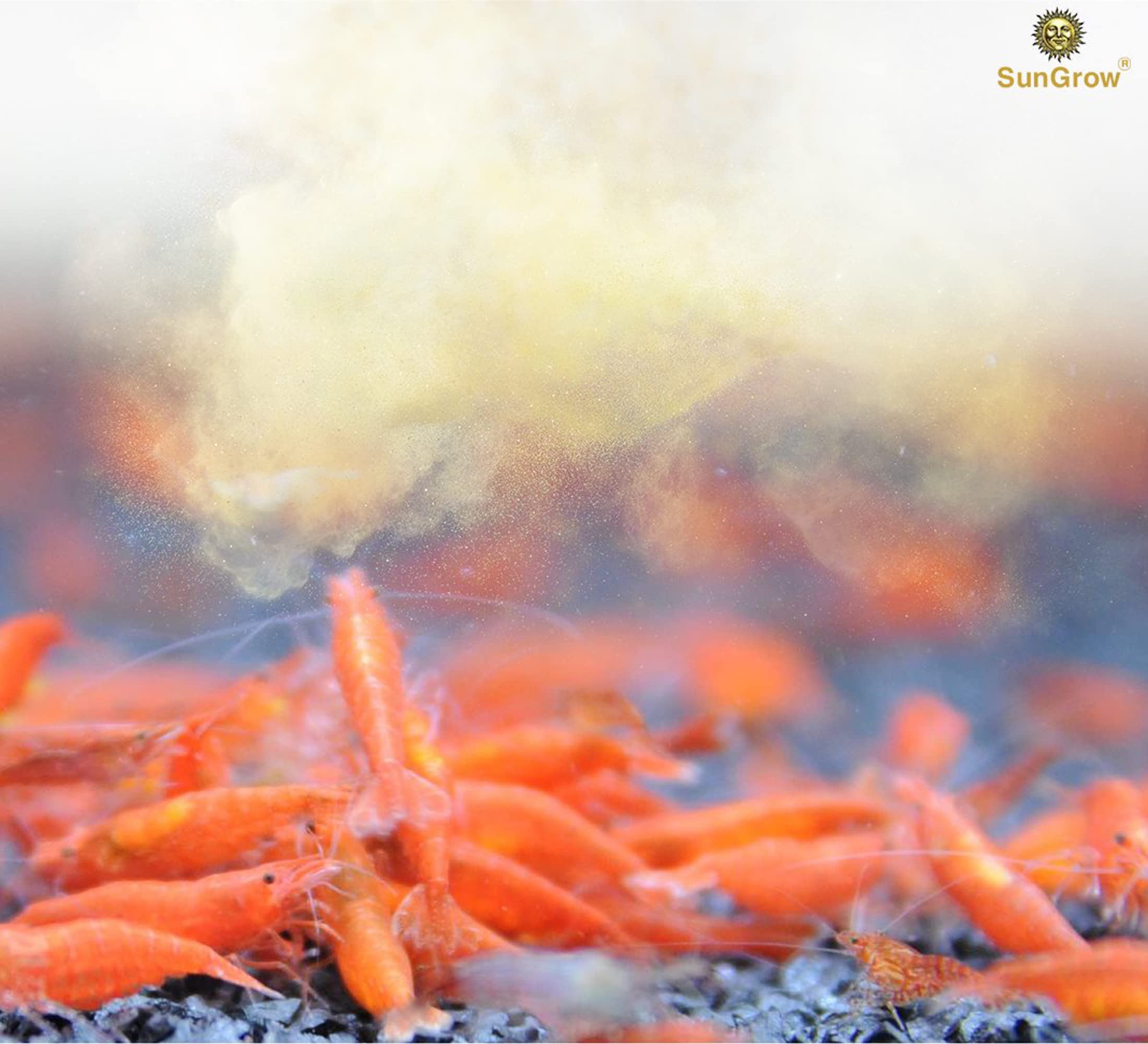 SunGrow Alimentation crevettes bébé – frénésie d’alimentation et activité accrue dans l’aquarium.