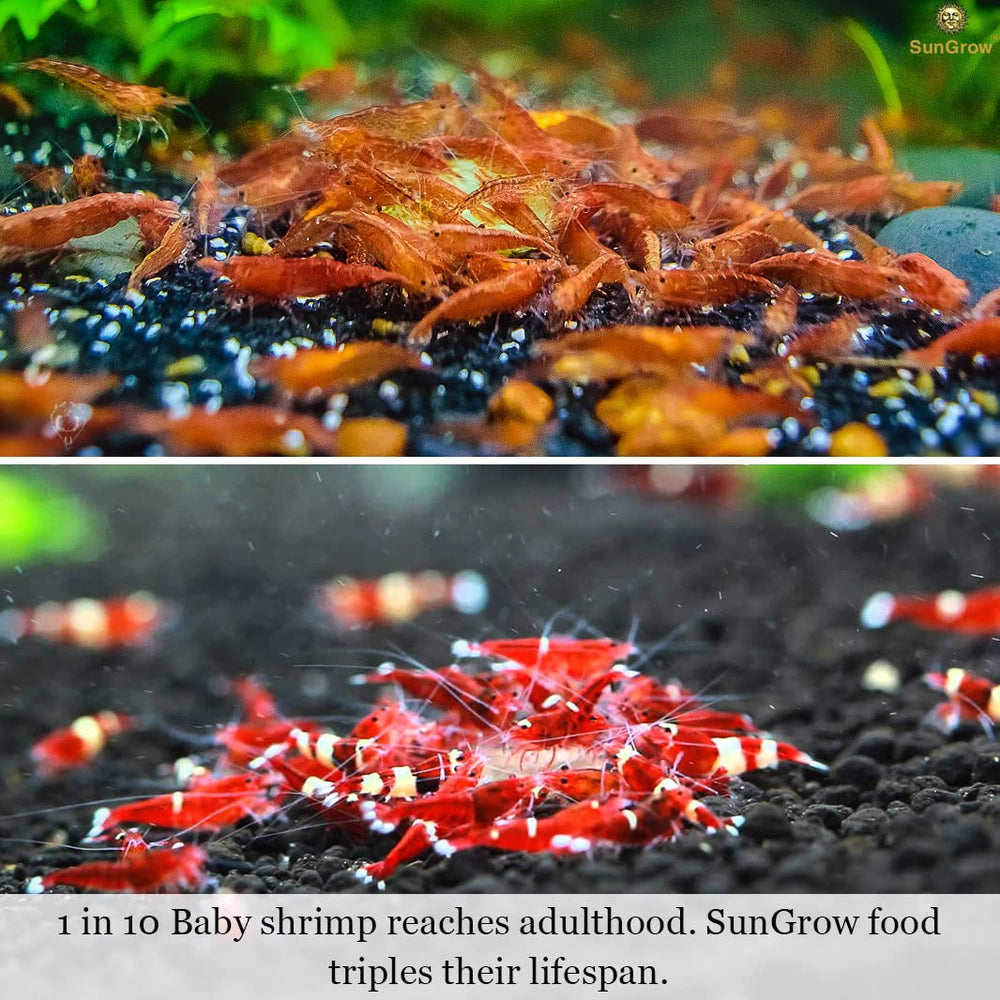 SunGrow Alimentation crevettes – soutien à la mue des crevettes dans un environnement stable.