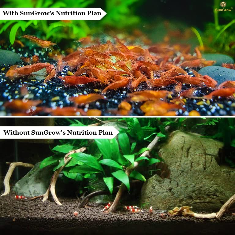 SunGrow Alimentation crevettes – potentiel pour augmenter la population avec une alimentation adaptée.