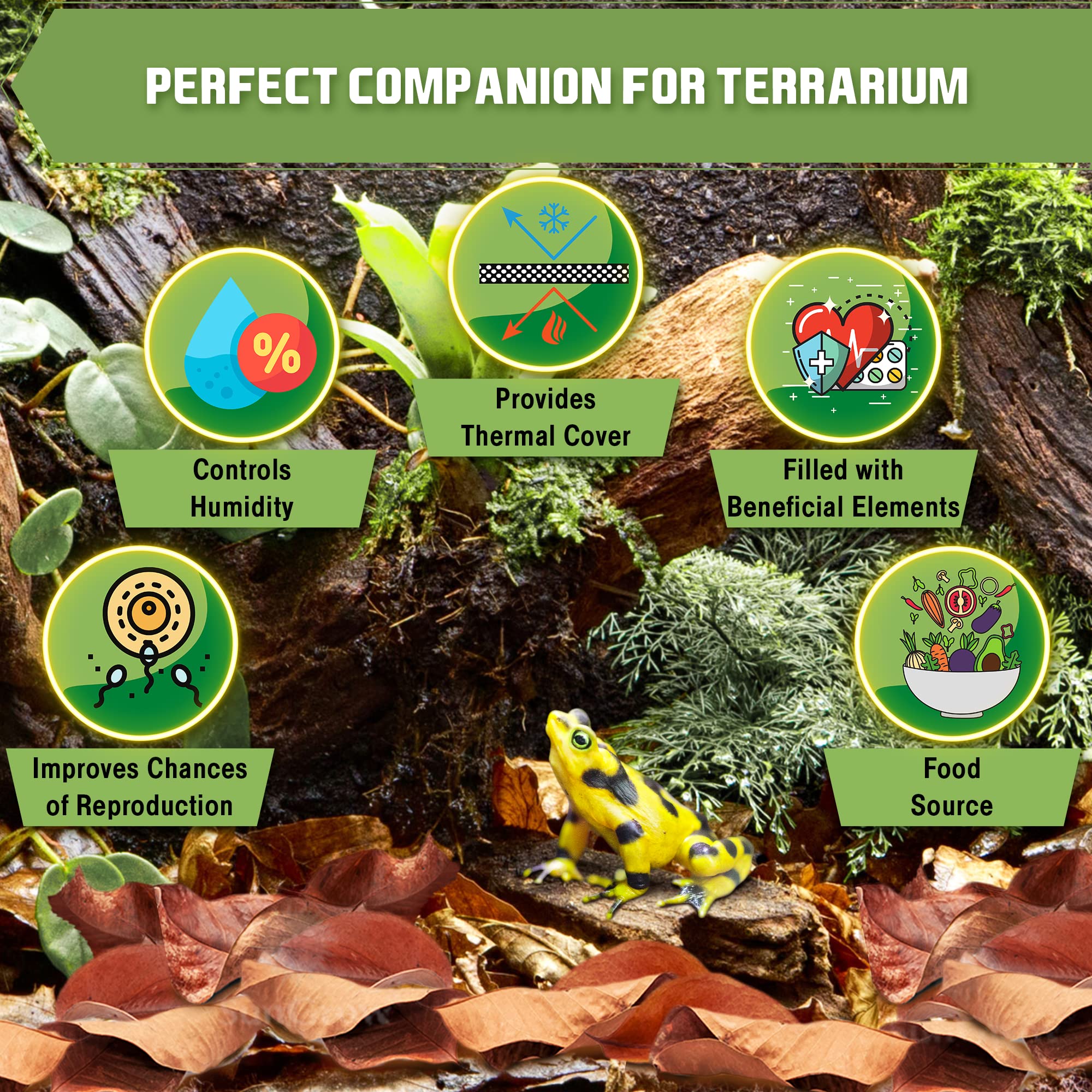 SunGrow attire la microfaune dans le terrarium grâce aux feuilles.