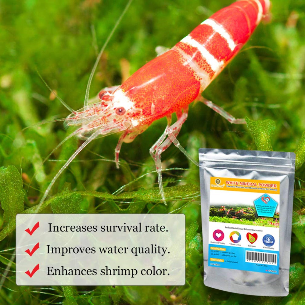 SunGrow Augmentation population crevettes, aliment stimulant la reproduction possible