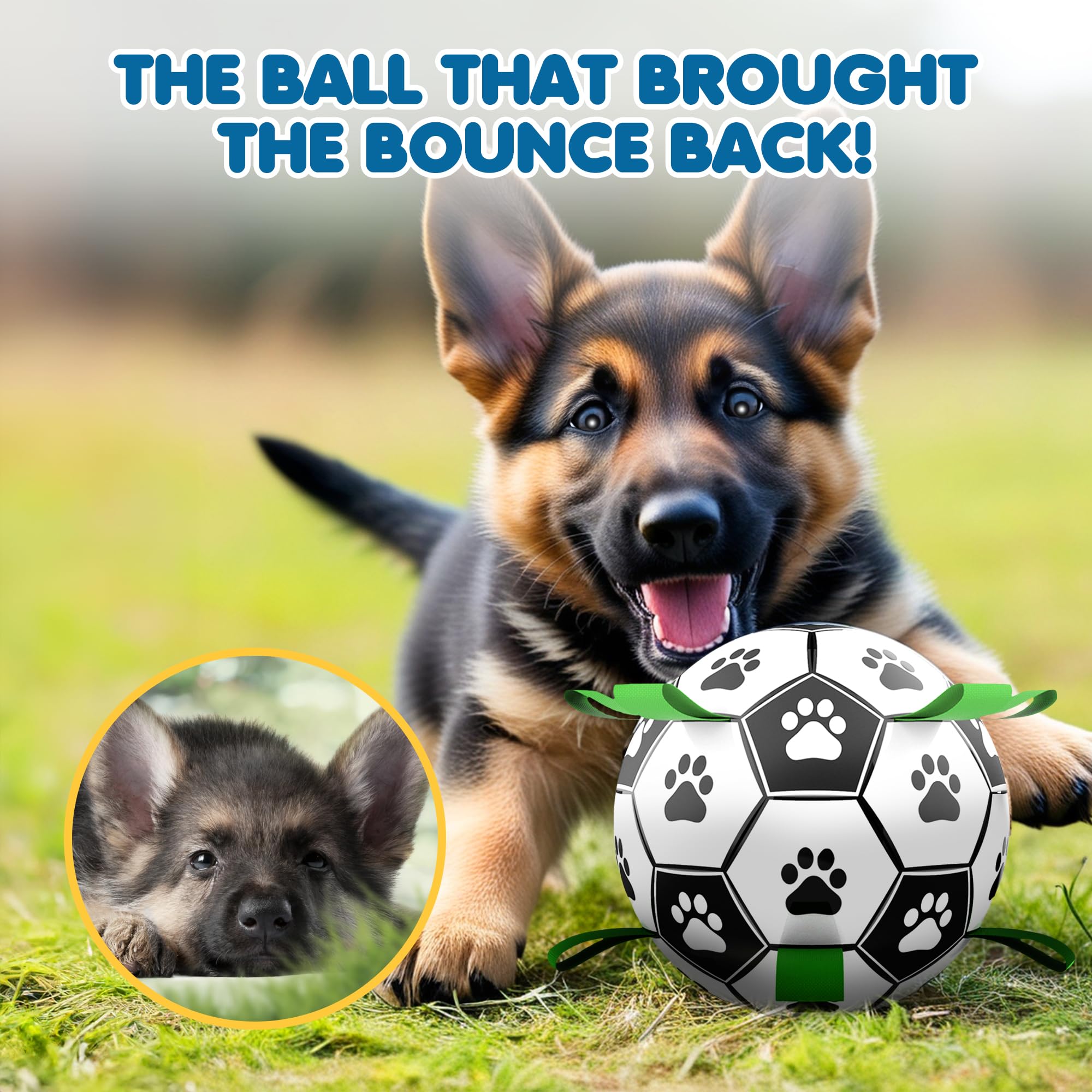 SunGrow balle-football chien exercice physique et mental pour chiens actifs.