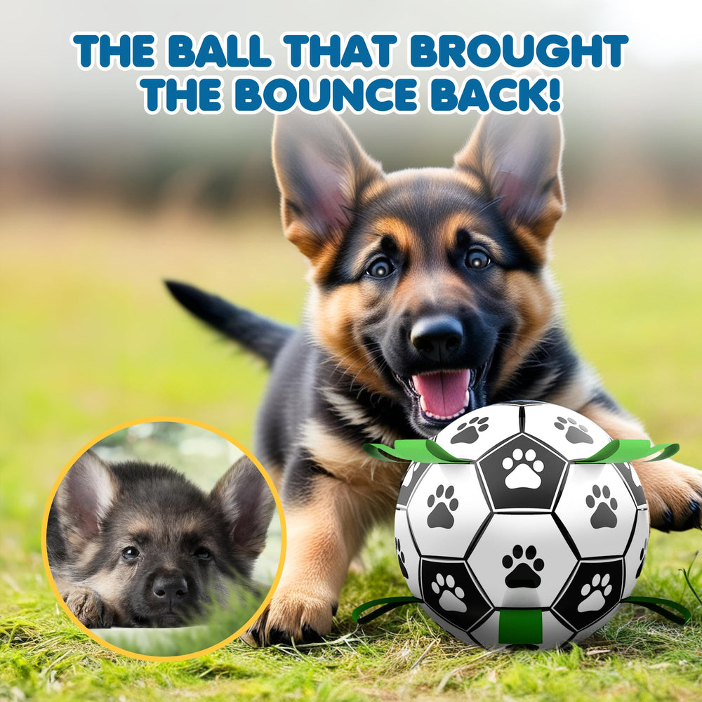 SunGrow balle-football chien exercice physique et mental pour chiens actifs.