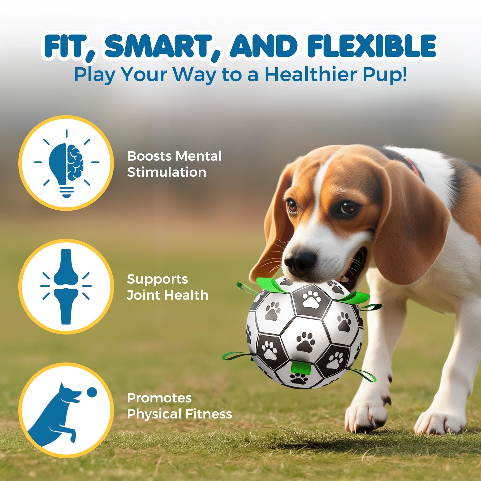 SunGrow balle-football chien flottante idéale pour jeux d'eau.