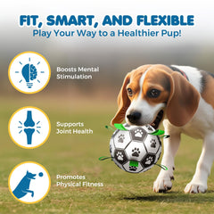 SunGrow balle-football chien flottante idéale pour jeux d'eau.