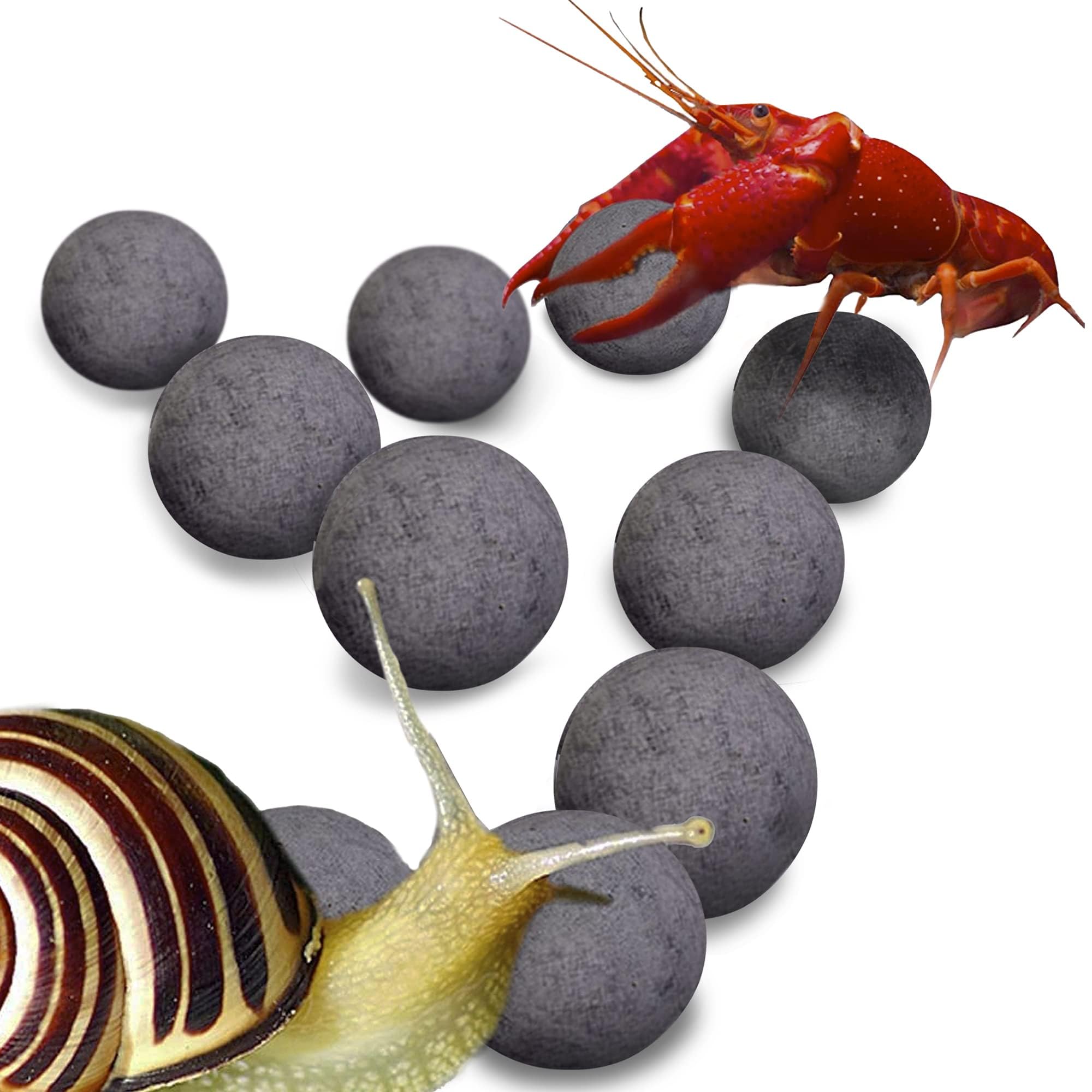 SunGrow Balles énergie pour escargots et écrevisses, activité accrue et mobilité améliorée.