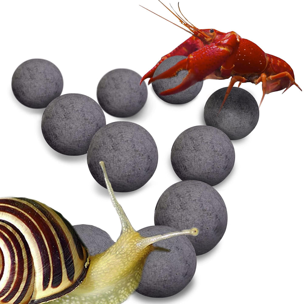 SunGrow Balles énergie pour escargots et écrevisses, activité accrue et mobilité améliorée.