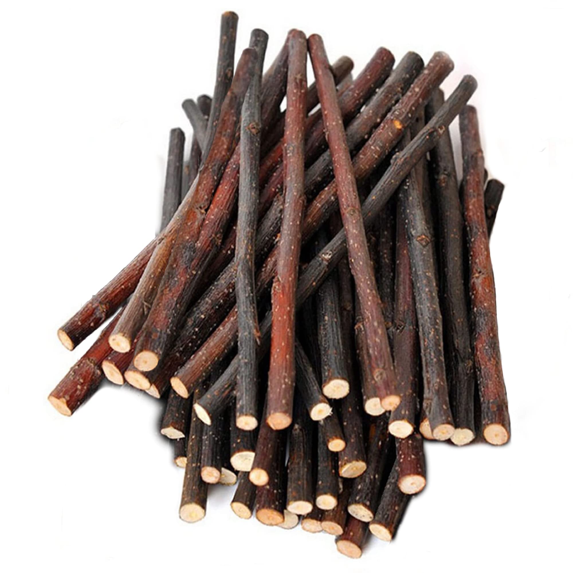 SunGrow Bâtons Pomme – grignotage naturel pour occuper les petits animaux.