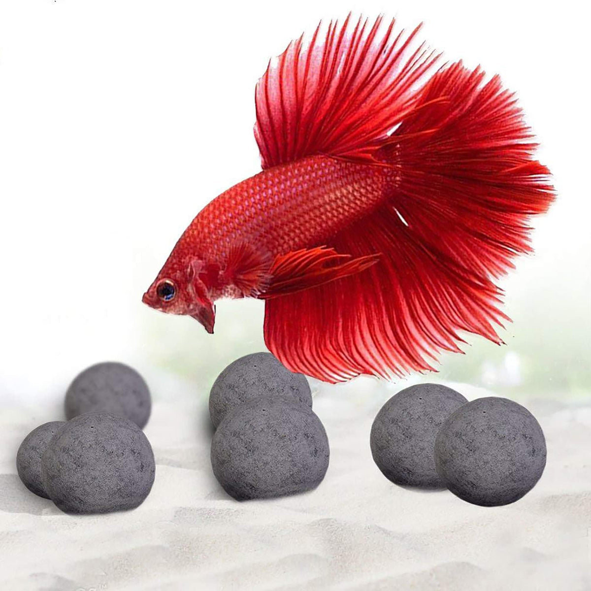 SunGrow Betta Balls – boules-eau pour améliorer la vitalité des Bettas.