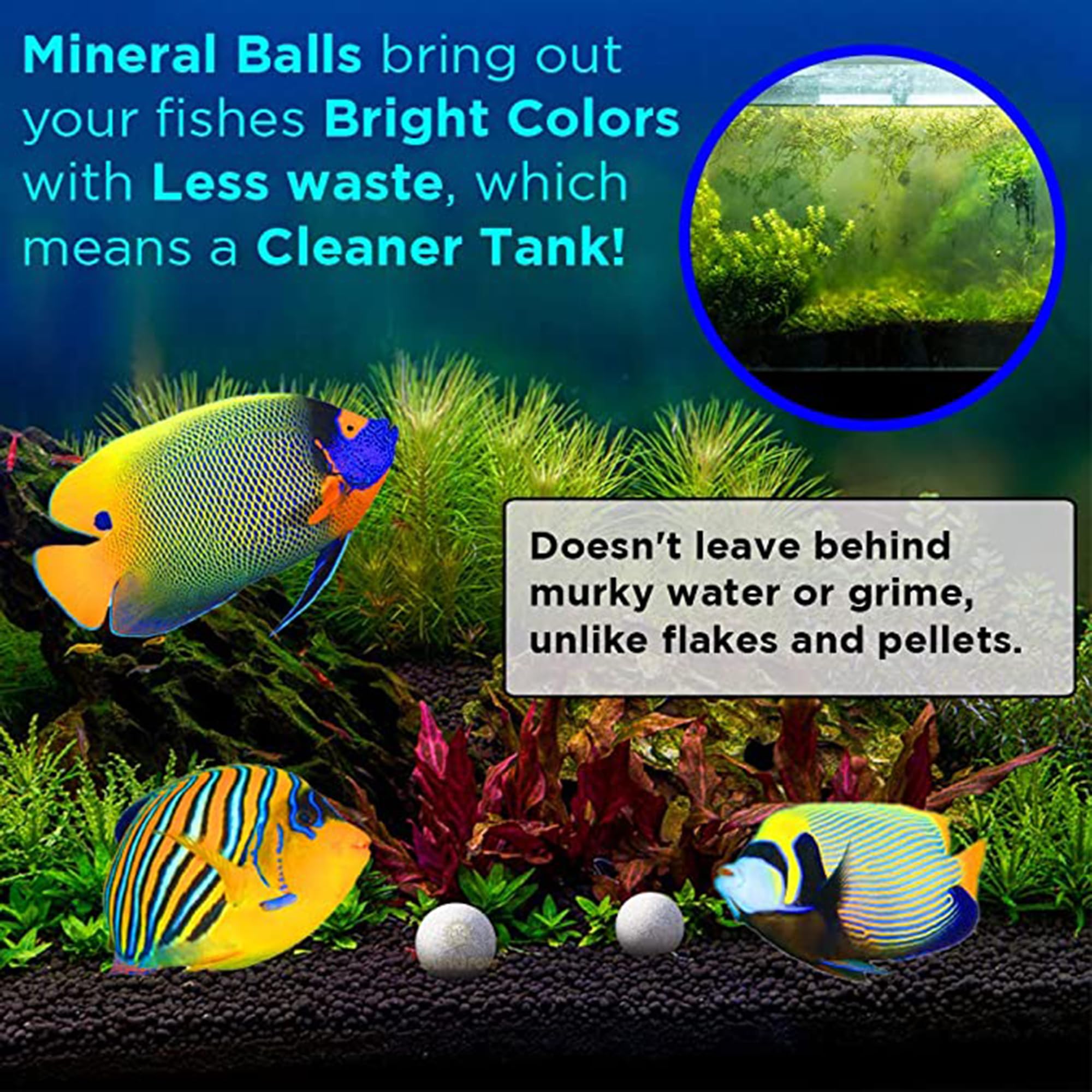 SunGrow Betta Balls – près des plantes, libération d’éléments nourrissants.