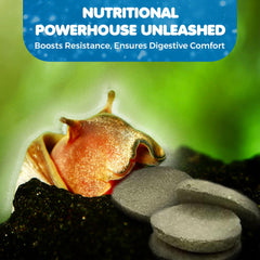 SunGrow betta dans l’aquarium — prêt à consommer l’alimentation spiruline.