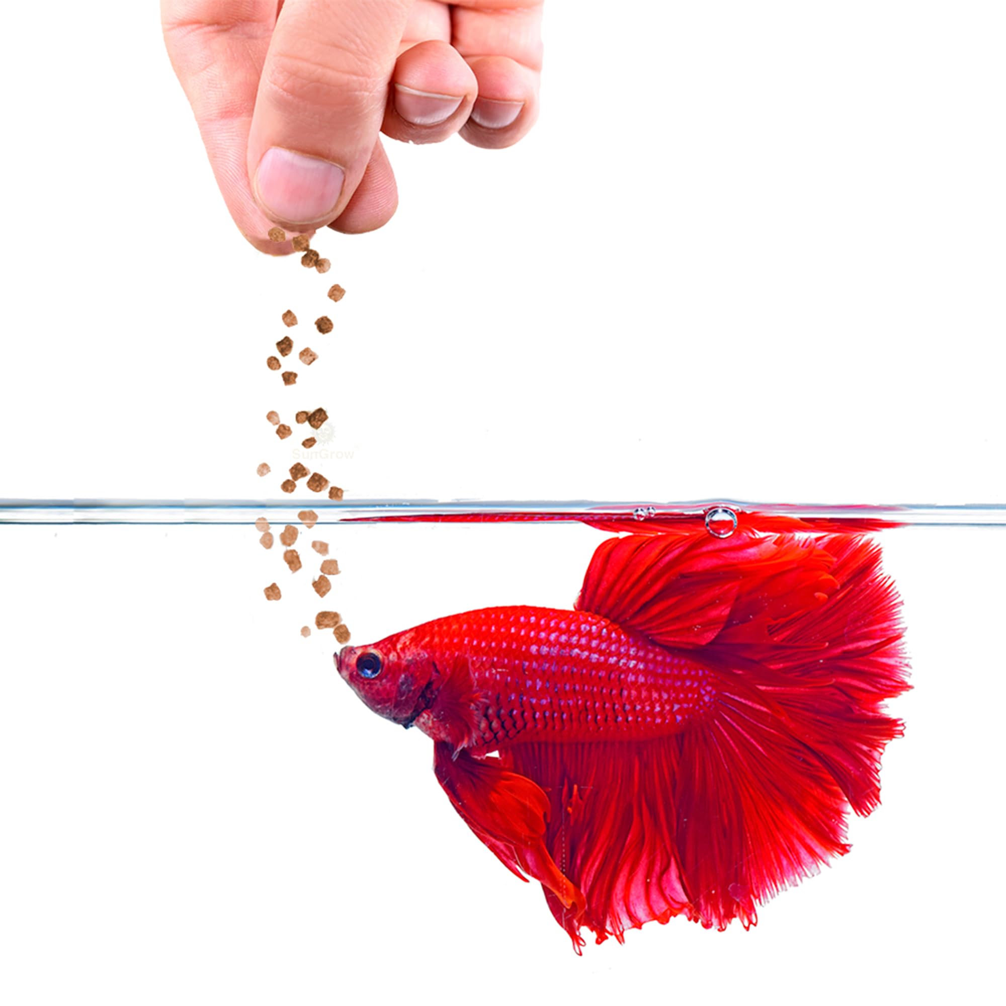 SunGrow Betta nutrition équilibrée pour poissons betta exigeants.