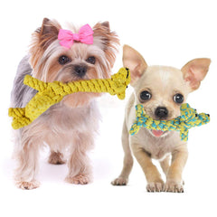 SunGrow Daisy le chien en corde coton, jouet robuste pour mastiquer.