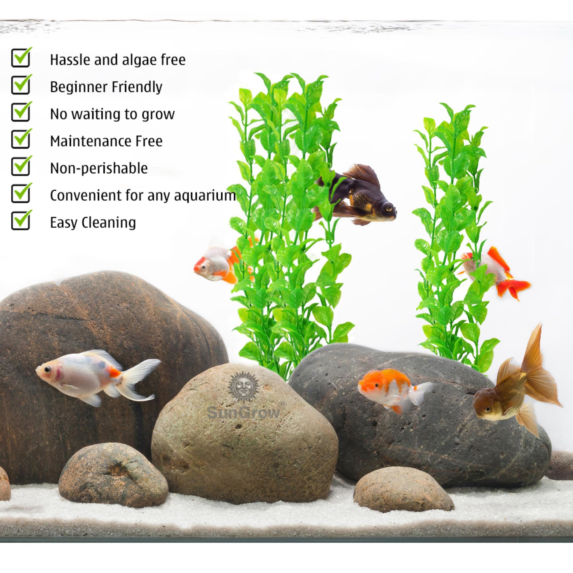 SunGrow décor économique pour aquarium offrant durabilité et esthétique