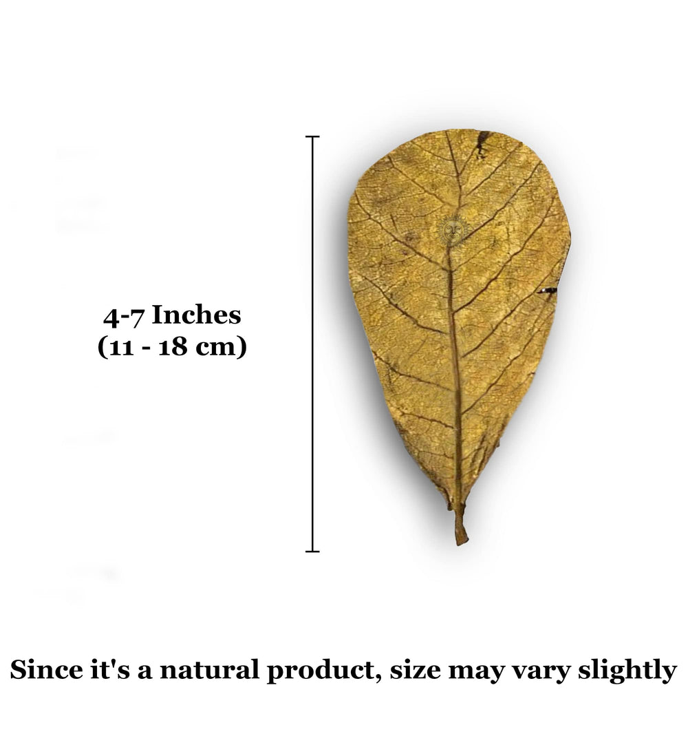 SunGrow, utilisation simple: déposez les feuilles sans cuisson dans le bac.