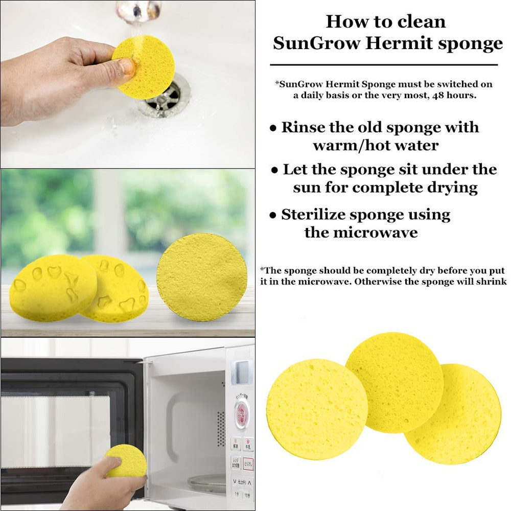 SunGrow éponges-crabe hermite durable-lavable: réutilisables et faciles à nettoyer.