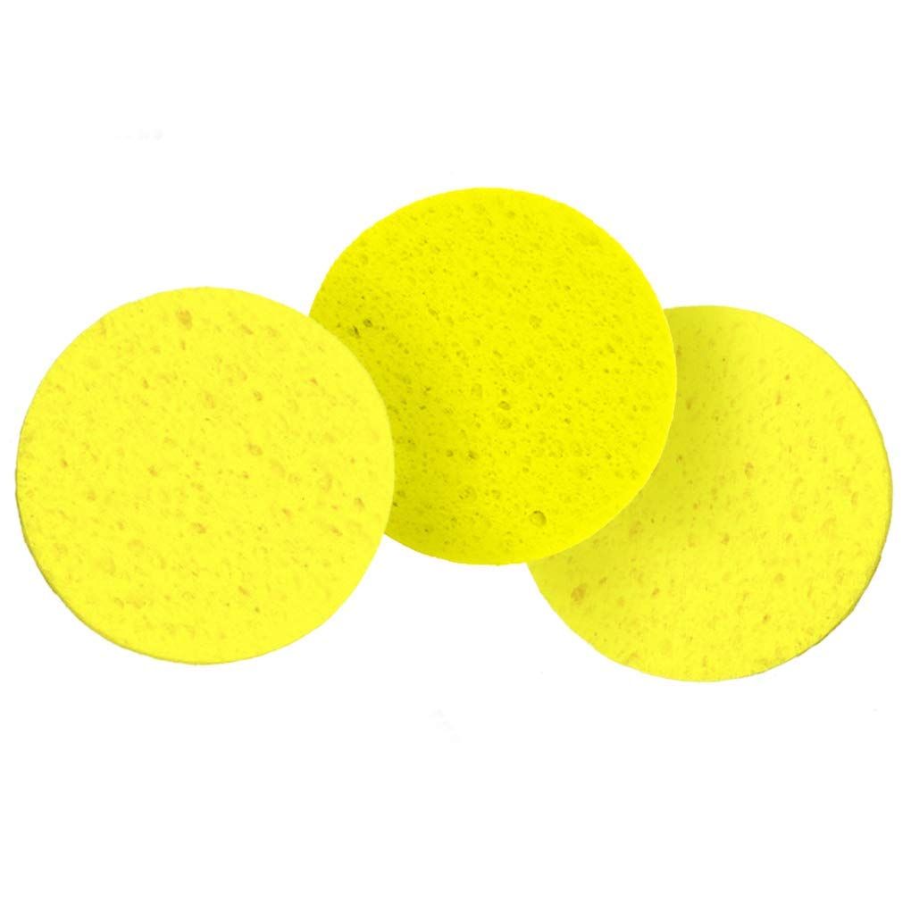 SunGrow éponges-crabe hermite eau 2-pouces : humidification stable de l'habitat.