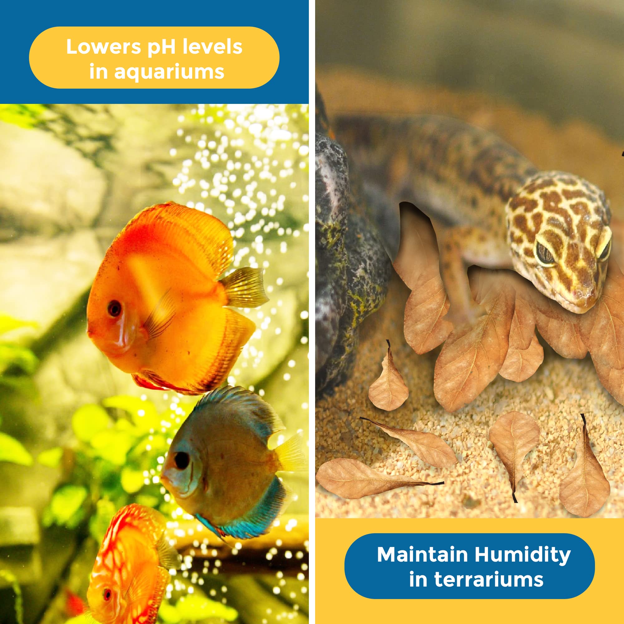 SunGrow feuilles Catappa mini, ambiance aquatique originale attirant l’attention des visiteurs.