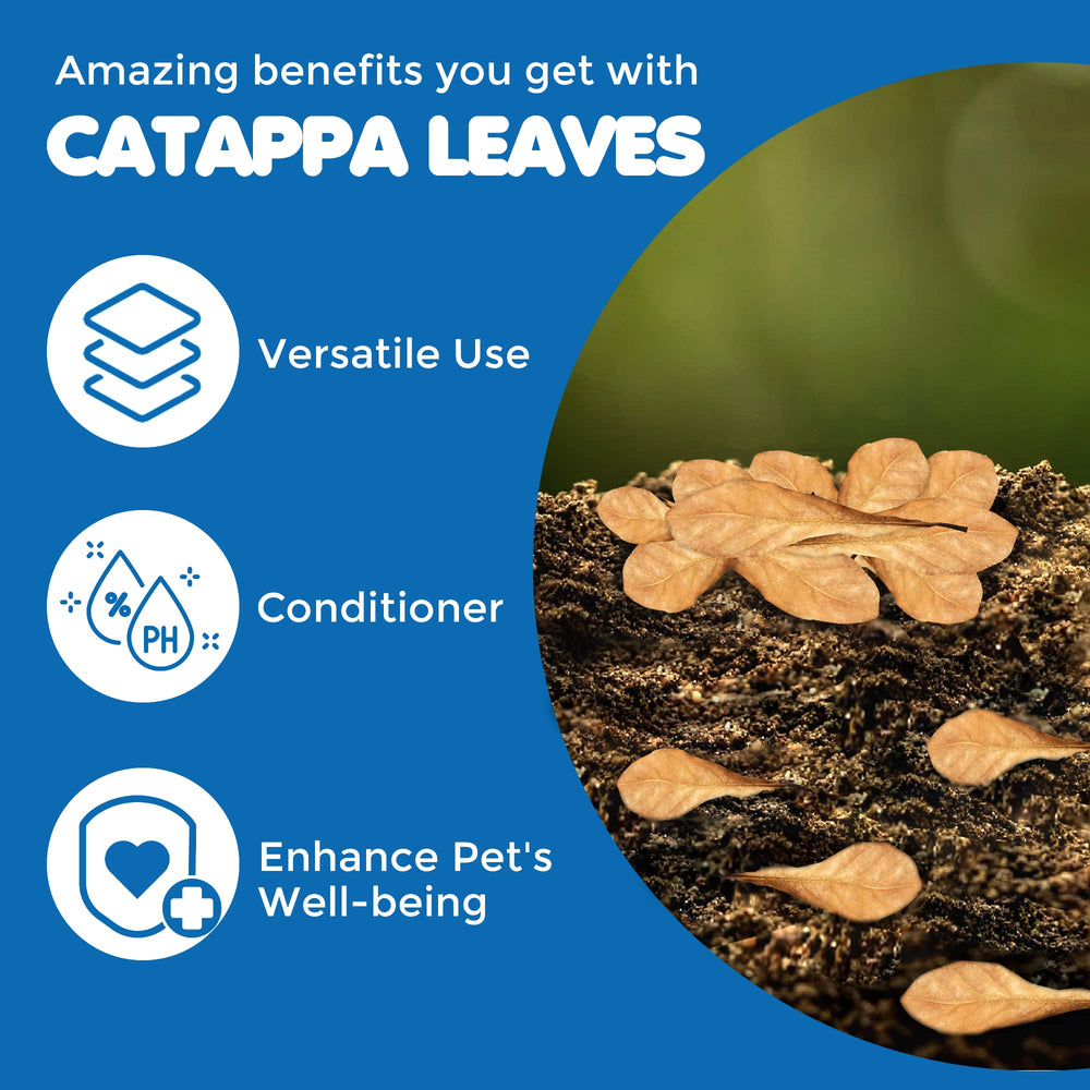 SunGrow feuilles Catappa mini, litière naturelle pour frogs et petits vertébrés dans un vivarium.