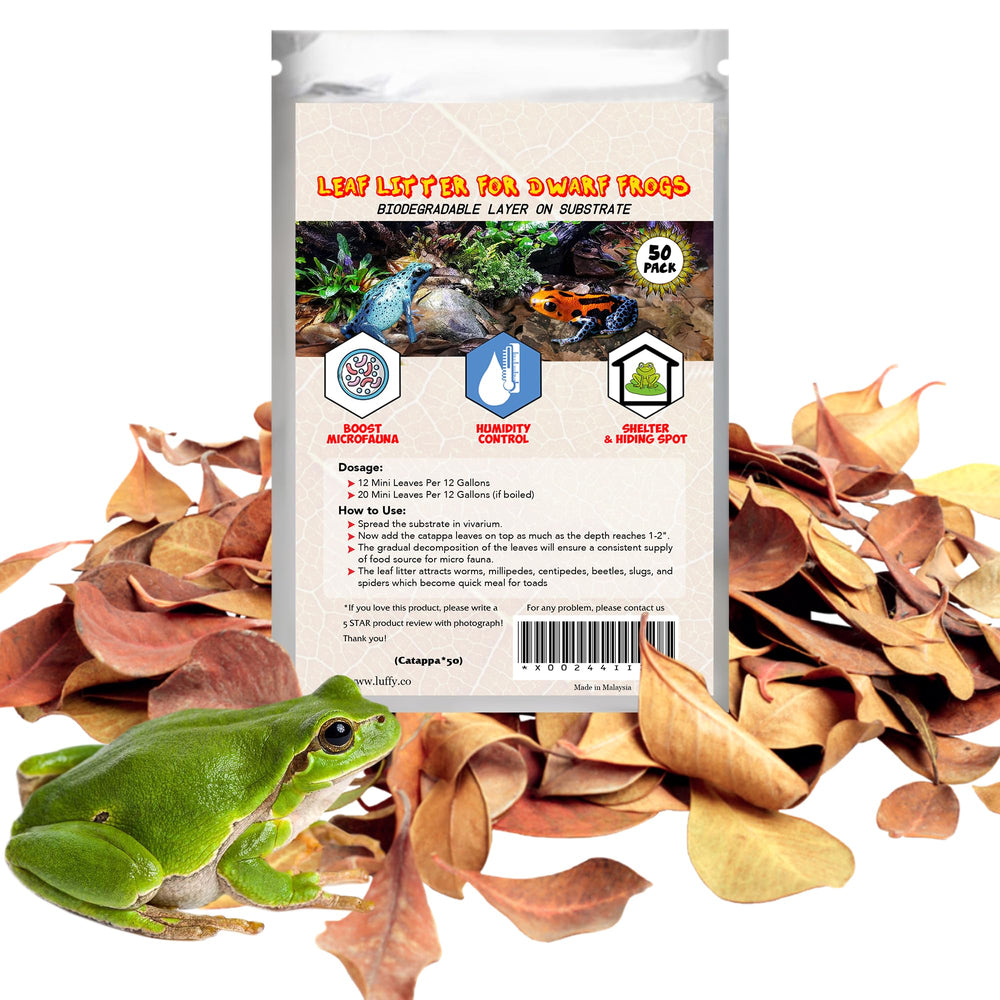 SunGrow feuilles d'amandier indien, pack 50, décor naturel et abri.