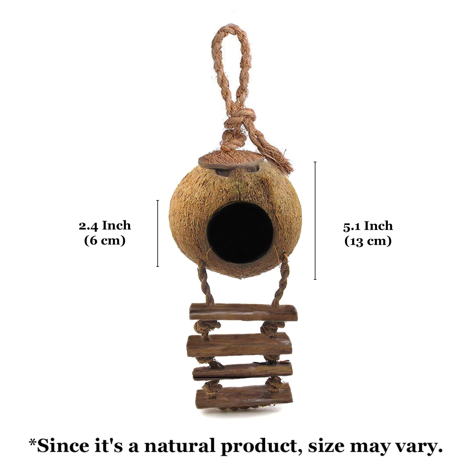 SunGrow habitat naturel, décor tropical en noix de coco pour reptiles.