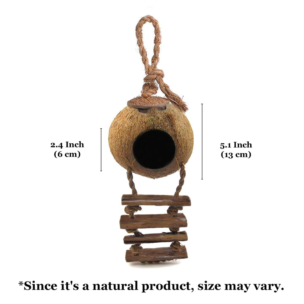 SunGrow habitat naturel, décor tropical en noix de coco pour reptiles.