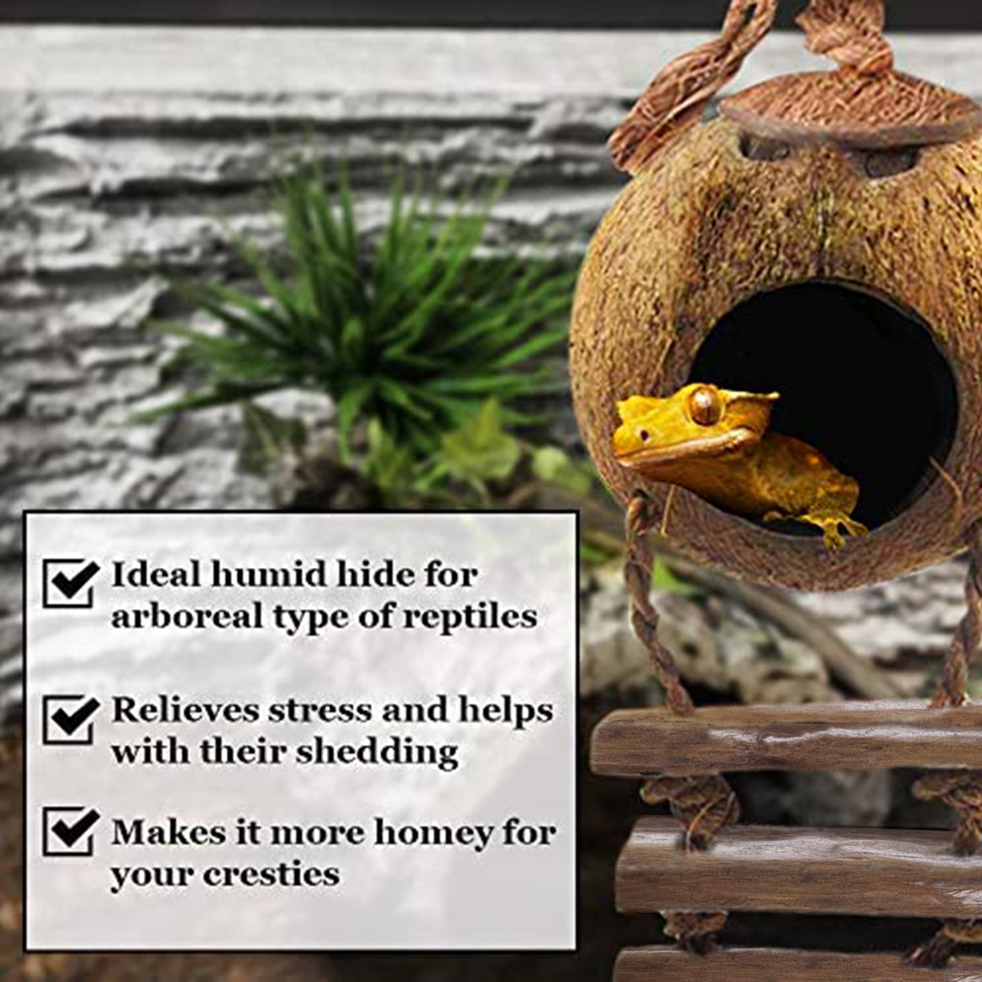 SunGrow habitat reptile en noix de coco, caverne naturelle pour refuge et repos.