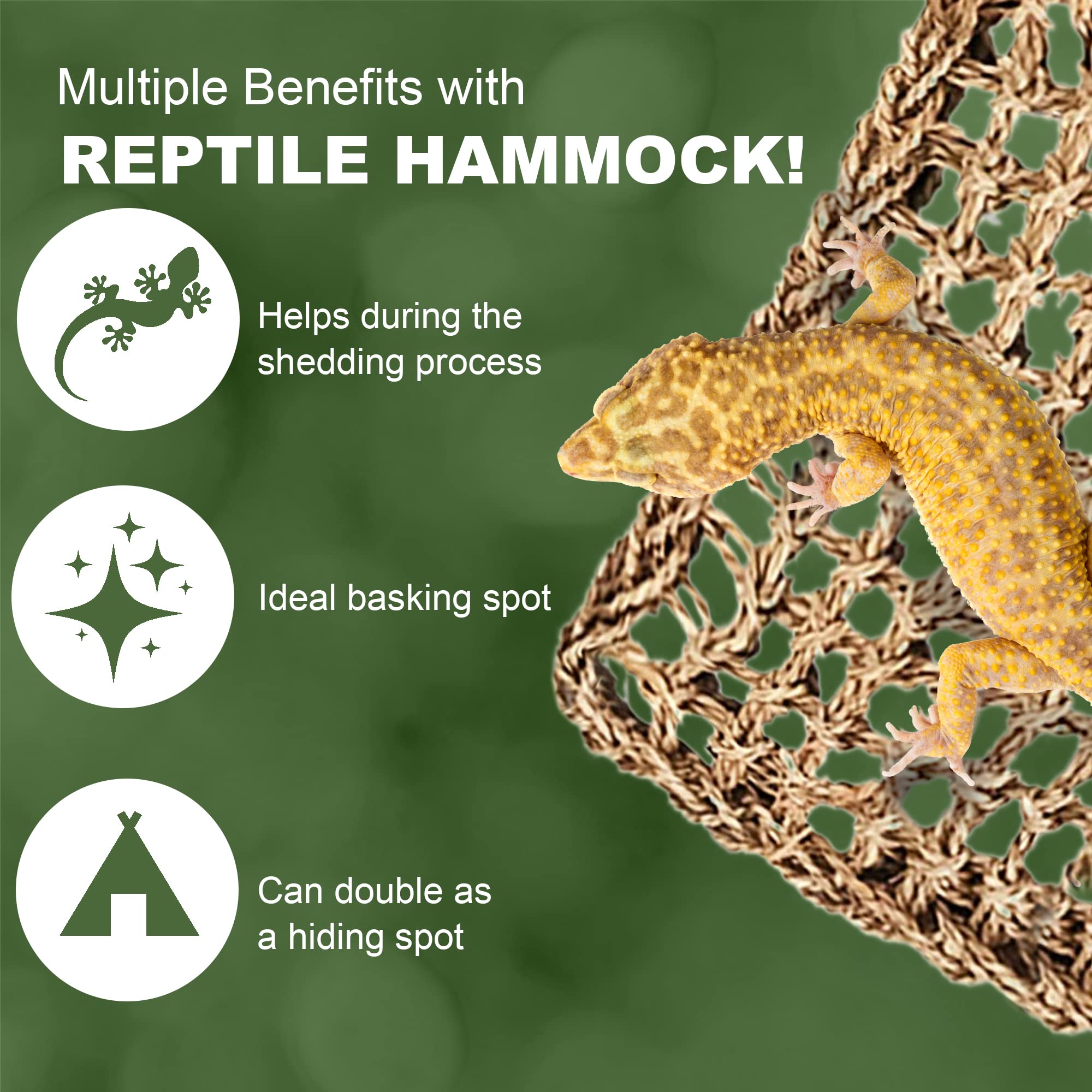 SunGrow hamac Reptile utilisé en espace vertical pour varier les perspectives.